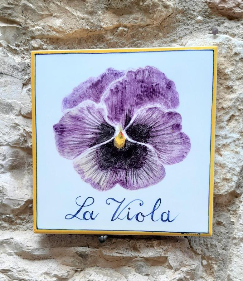 La Viola Di Assisi Hotel Kültér fotó