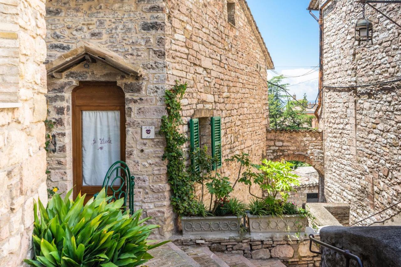 La Viola Di Assisi Hotel Kültér fotó