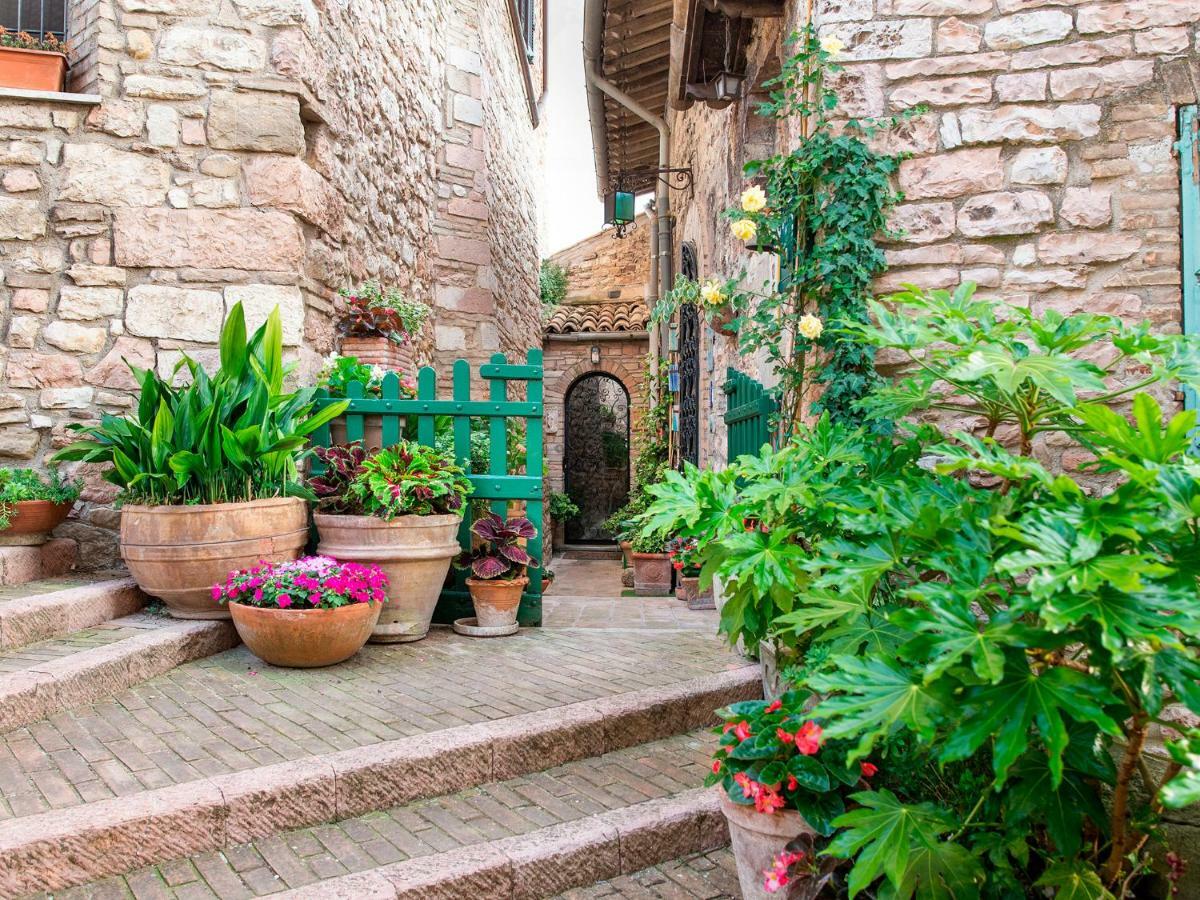 La Viola Di Assisi Hotel Kültér fotó